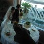 IMG_0281